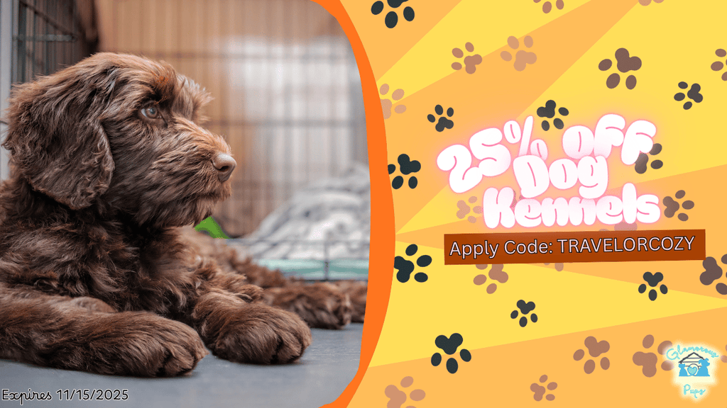 Home, Safe & Stylish—Wherever You Go!