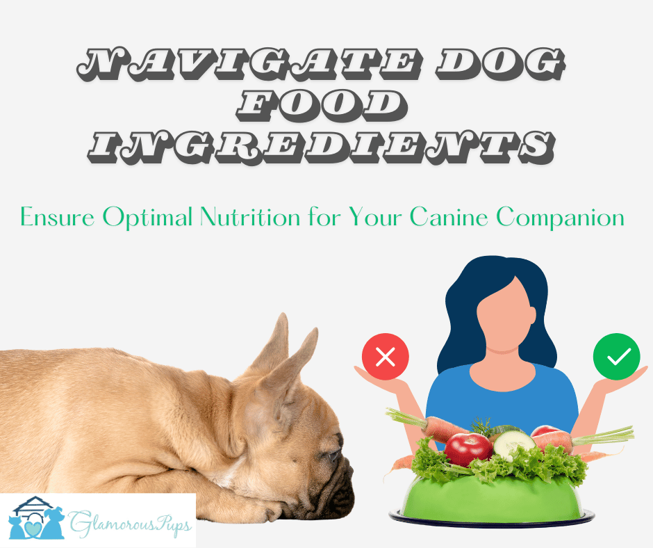 Navigating Dog Food Ingredients: Ensure Optimal Nutrition for Your Canine Companion