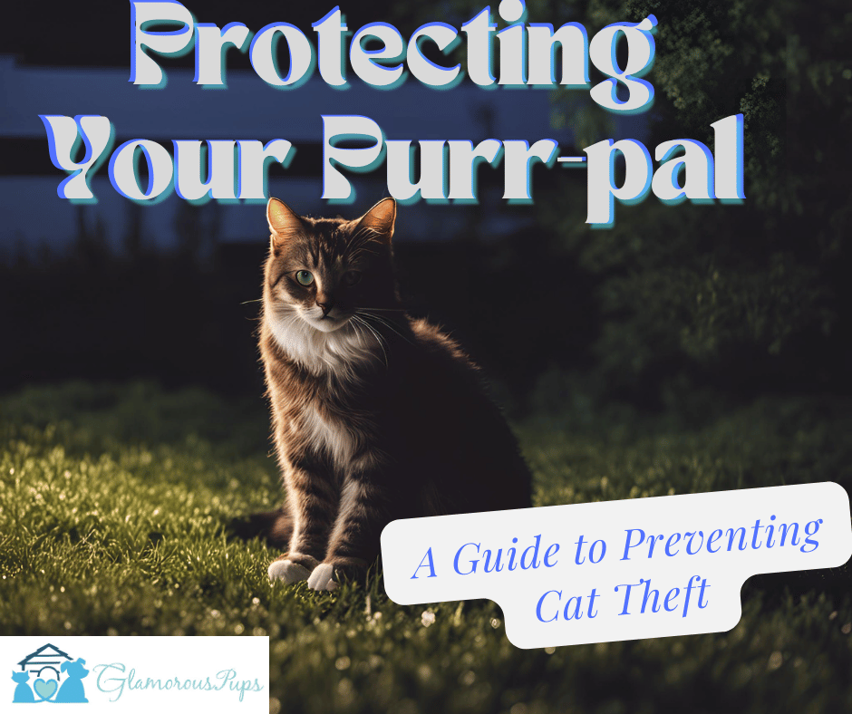 Protecting Your Purr-pal: A Guide to Preventing Cat Theft