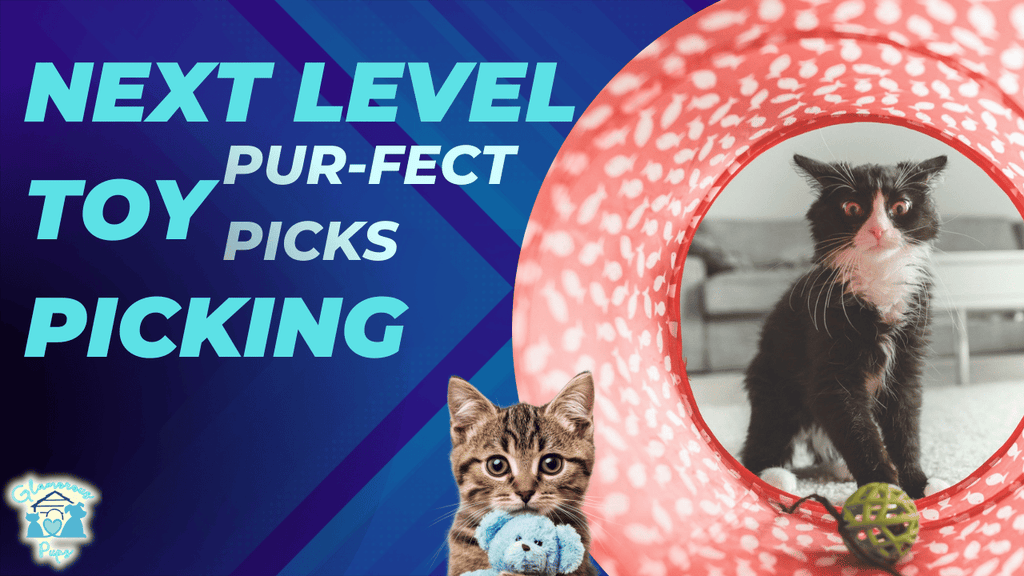 Pick the Purr-fect Toys: Safe and Fun for Your Cat's Well-Being!