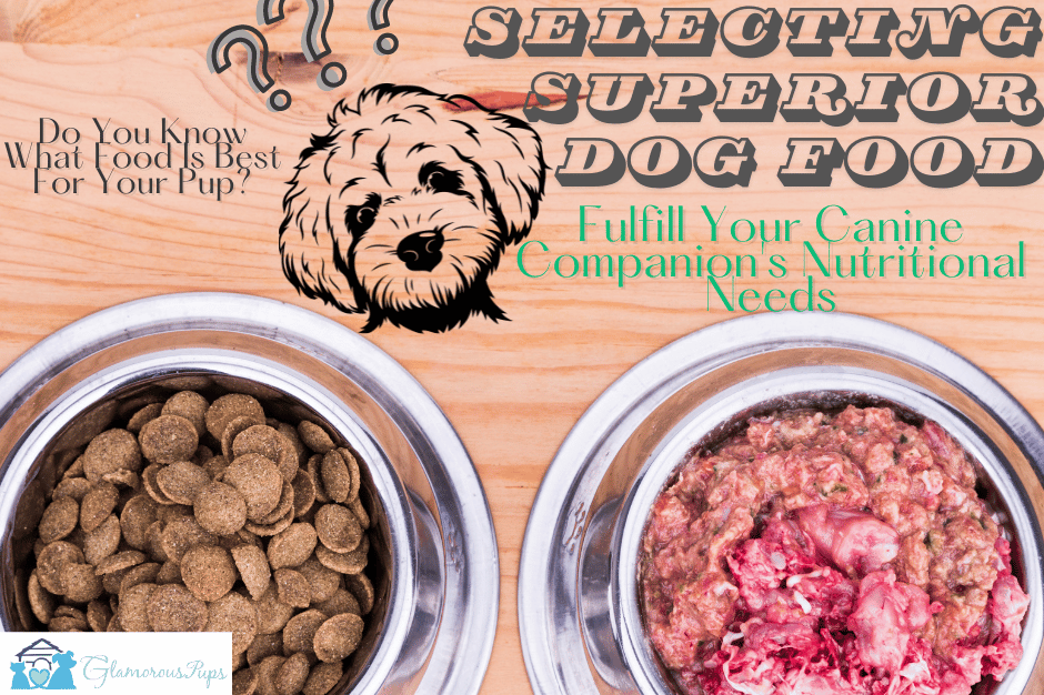 Selecting Superior Dog Food: A Guide to Fulfilling Your Canine Companion's Nutritional Needs