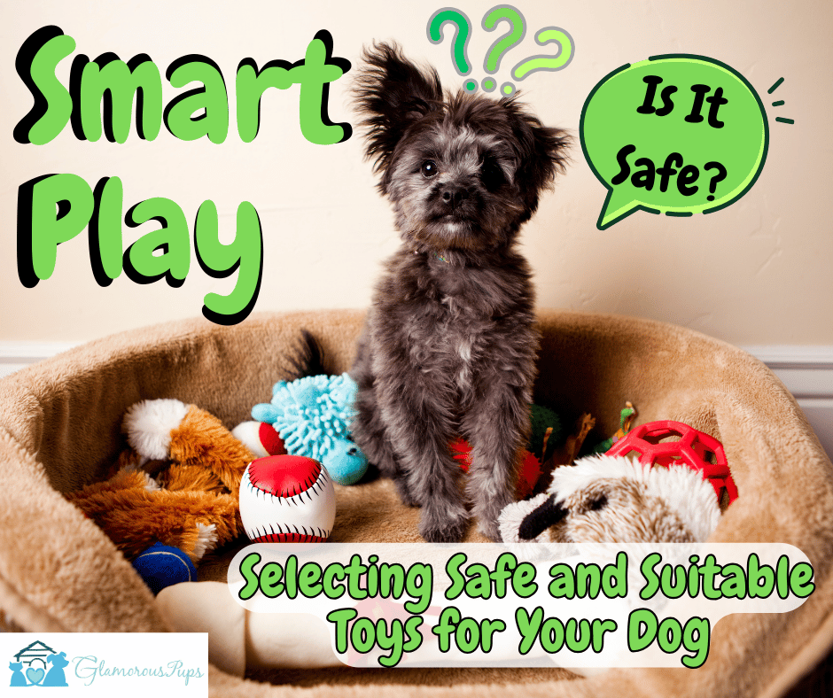 Smart Play: Selecting Safe and Suitable Toys for Your Dog