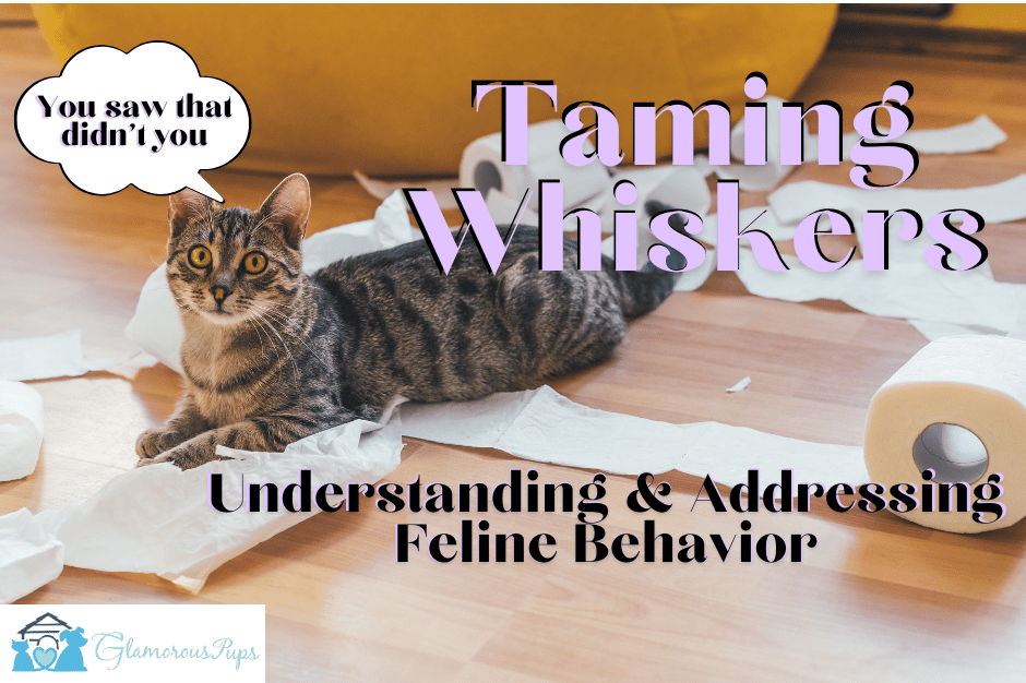 Taming Whiskers: A Guide to Understanding and Correcting Common Feline Behavior Issues