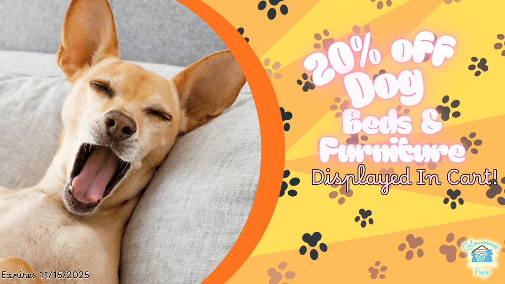 Travel or Cozy? However You Fall, We’ve Got the Perfect Spot!