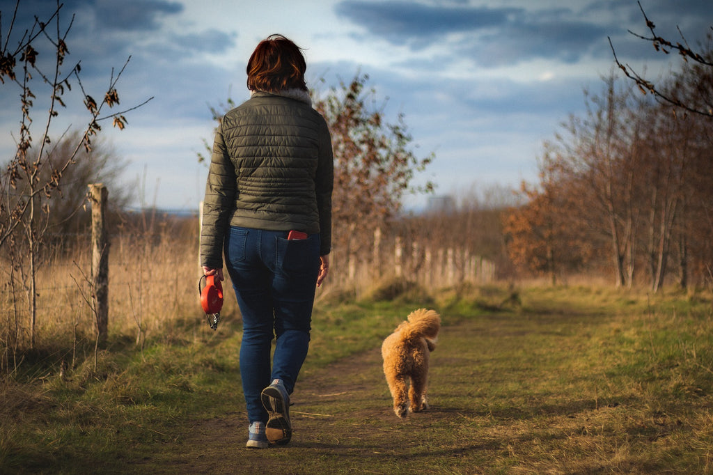 Pawsitive Impact: Understanding the Vital Importance of Regular Exercise for Your Dog