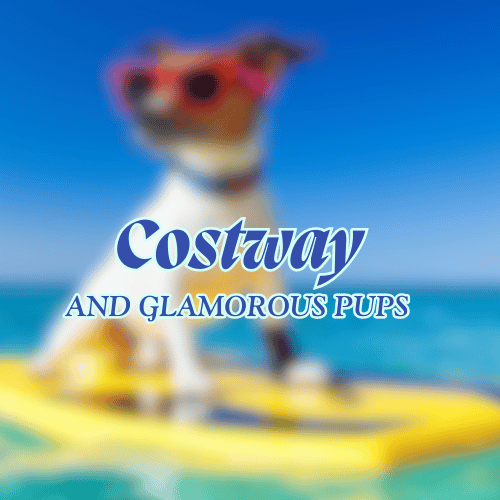 Costway