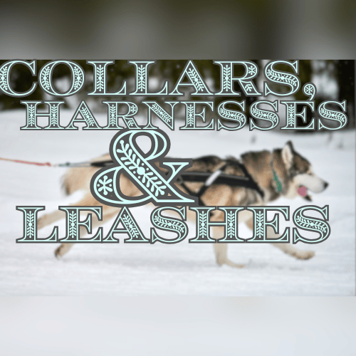 Dog Collars, Harnesses & Leashes - Glamorous Pups 