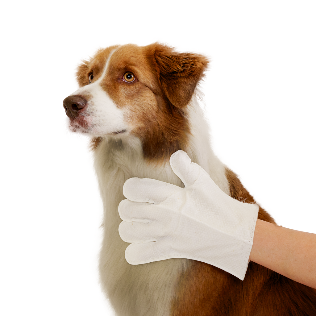 Glamorous Pups : Eco Pet Glove Wipes from Pineapple and Banana Fiber