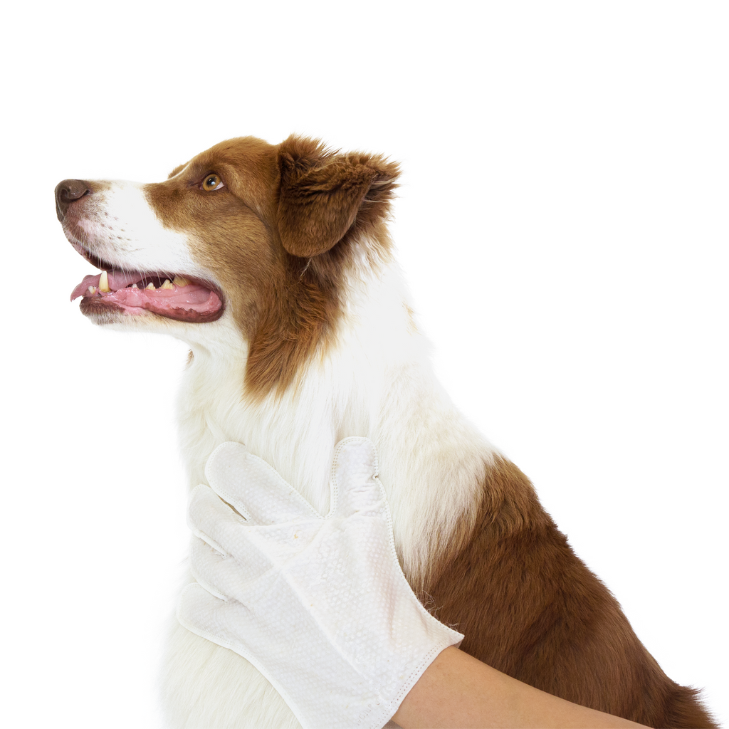 Glamorous Pups : Eco Pet Glove Wipes from Pineapple and Banana Fiber