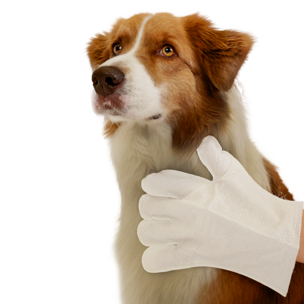 Glamorous Pups : Eco Pet Glove Wipes from Pineapple and Banana Fiber