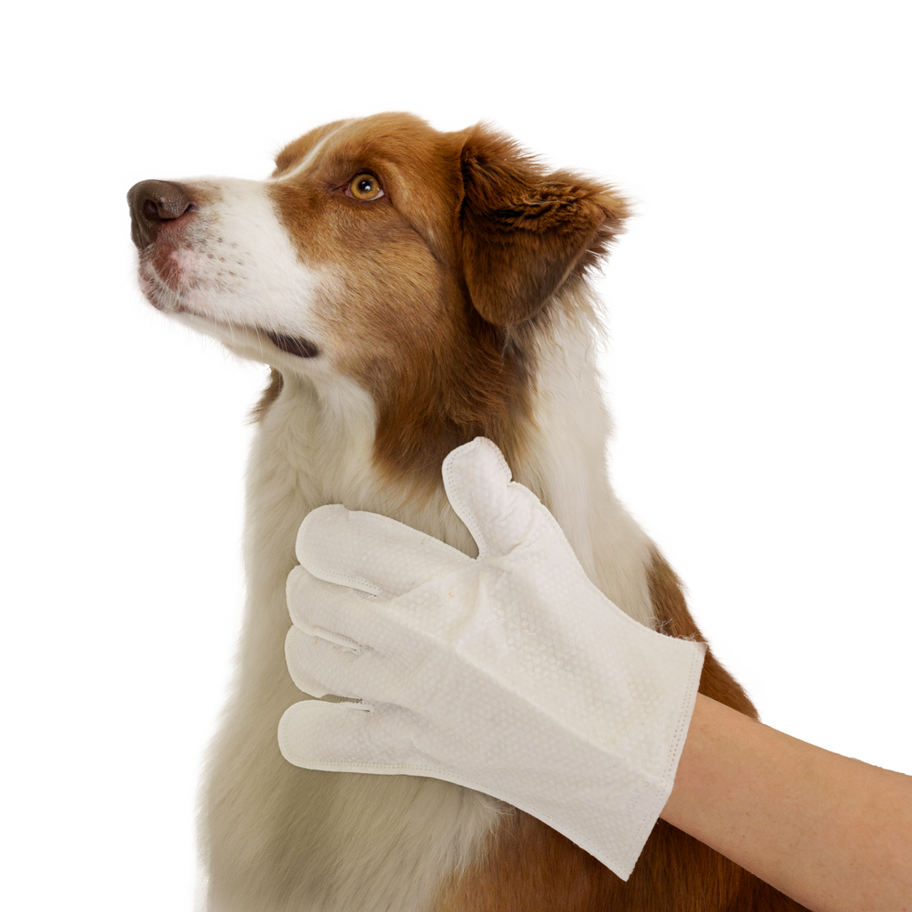 Glamorous Pups : Eco Pet Glove Wipes from Pineapple and Banana Fiber