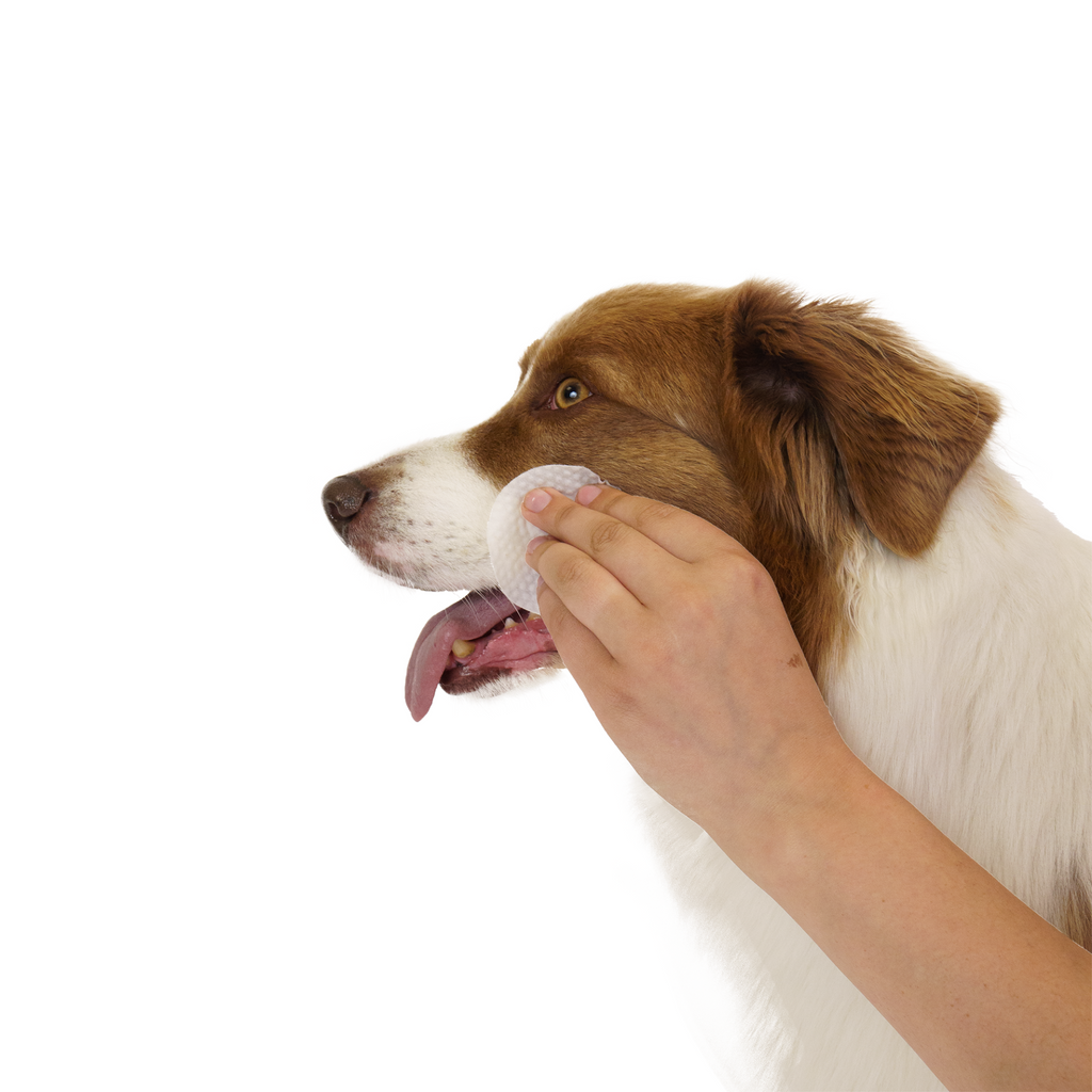 Glamorous Pups : Eco Pet Eyes and Ears Wipes from Pineapple and Banana Fiber