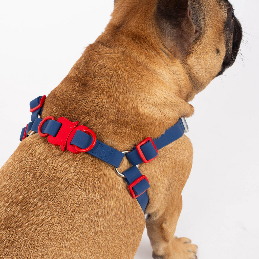 Glamorous Pups : Maximus Silicon Navy Harness