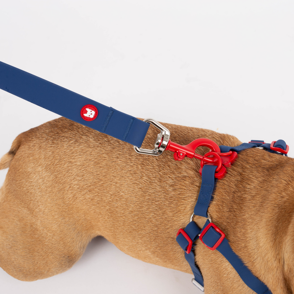 Glamorous Pups : Maximus Silicon Navy Leash