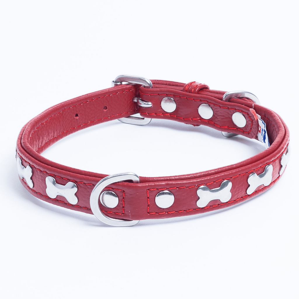 Glamorous Pups : Rotterdam Bones Leather Dog Collar – Classic Genuine Leather Collar with Metal Bone Accents & Center D-Ring for Style and Control