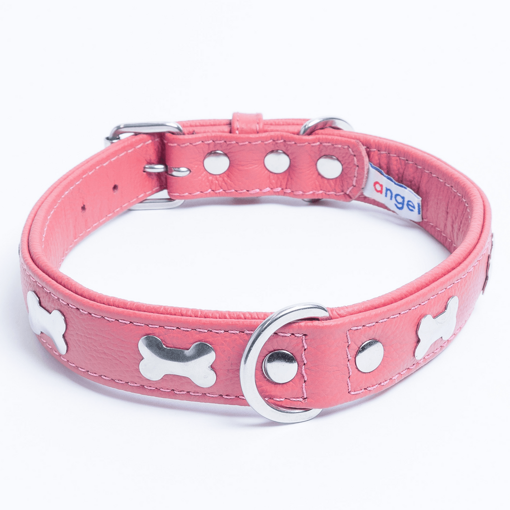 Glamorous Pups : Rotterdam Bones Leather Dog Collar – Classic Genuine Leather Collar with Metal Bone Accents & Center D-Ring for Style and Control
