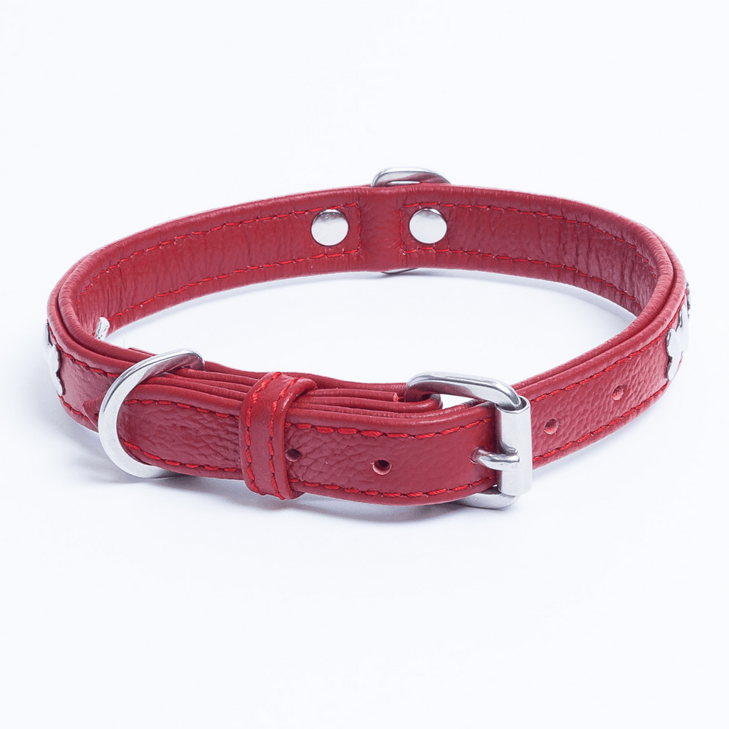 Glamorous Pups : Rotterdam Bones Leather Dog Collar – Classic Genuine Leather Collar with Metal Bone Accents & Center D-Ring for Style and Control