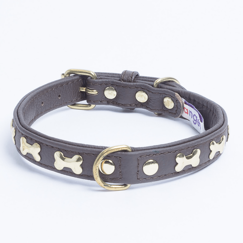 Glamorous Pups : Rotterdam Bones Leather Dog Collar – Classic Genuine Leather Collar with Metal Bone Accents & Center D-Ring for Style and Control