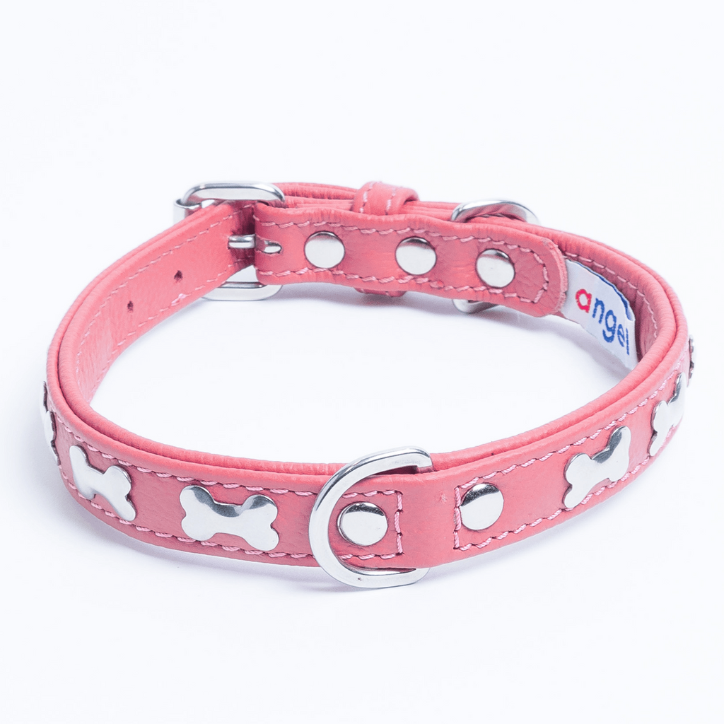 Glamorous Pups : Rotterdam Bones Leather Dog Collar – Classic Genuine Leather Collar with Metal Bone Accents & Center D-Ring for Style and Control