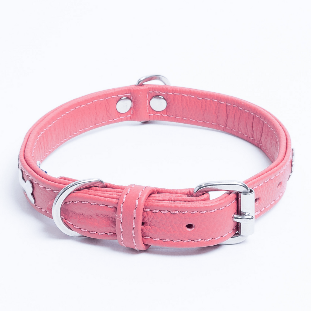 Glamorous Pups : Rotterdam Bones Leather Dog Collar – Classic Genuine Leather Collar with Metal Bone Accents & Center D-Ring for Style and Control