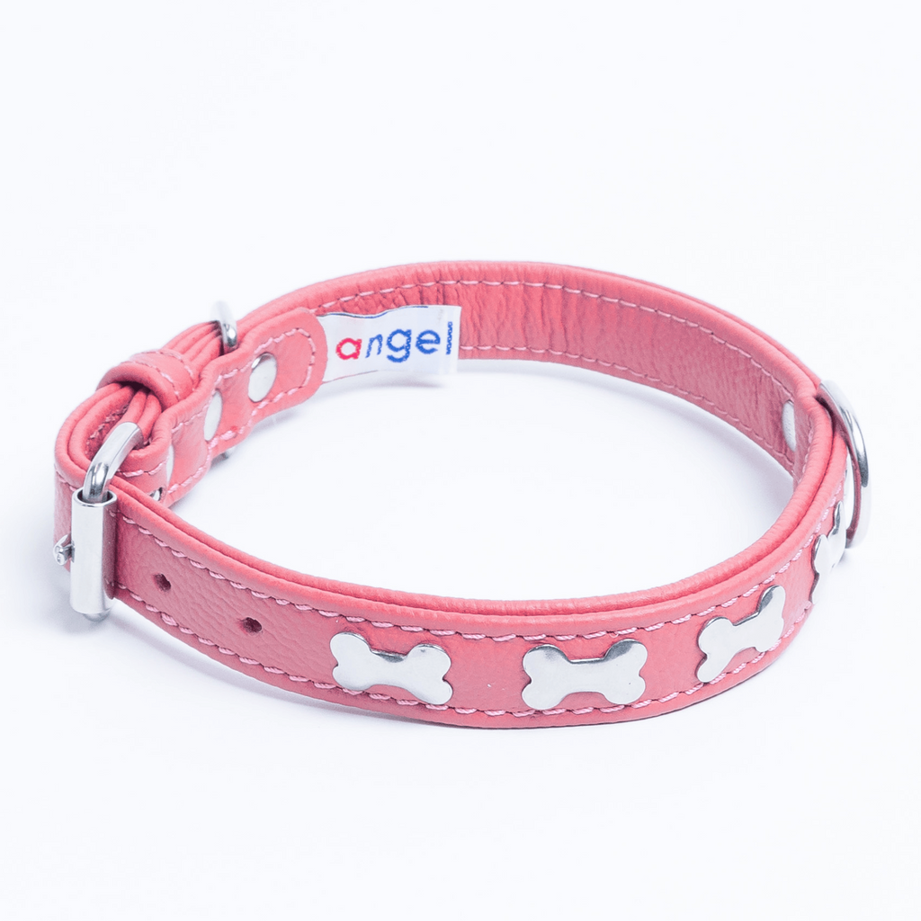 Glamorous Pups : Rotterdam Bones Leather Dog Collar – Classic Genuine Leather Collar with Metal Bone Accents & Center D-Ring for Style and Control