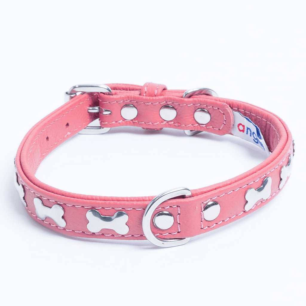 Glamorous Pups : Rotterdam Bones Leather Dog Collar – Classic Genuine Leather Collar with Metal Bone Accents & Center D-Ring for Style and Control