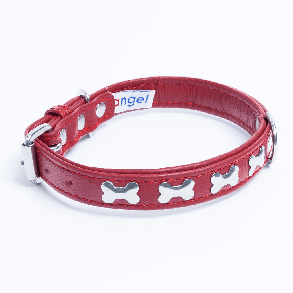 Glamorous Pups : Rotterdam Bones Leather Dog Collar – Classic Genuine Leather Collar with Metal Bone Accents & Center D-Ring for Style and Control