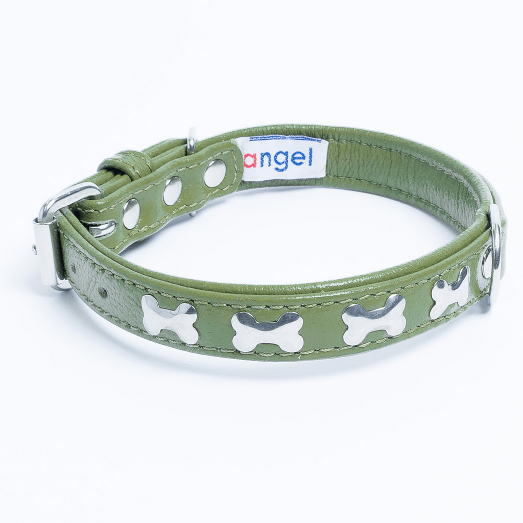 Glamorous Pups : Rotterdam Bones Leather Dog Collar – Classic Genuine Leather Collar with Metal Bone Accents & Center D-Ring for Style and Control