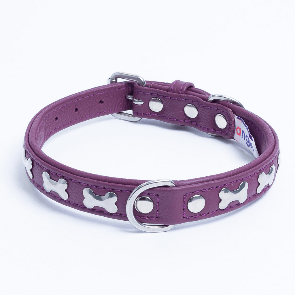 Glamorous Pups : Rotterdam Bones Leather Dog Collar – Classic Genuine Leather Collar with Metal Bone Accents & Center D-Ring for Style and Control