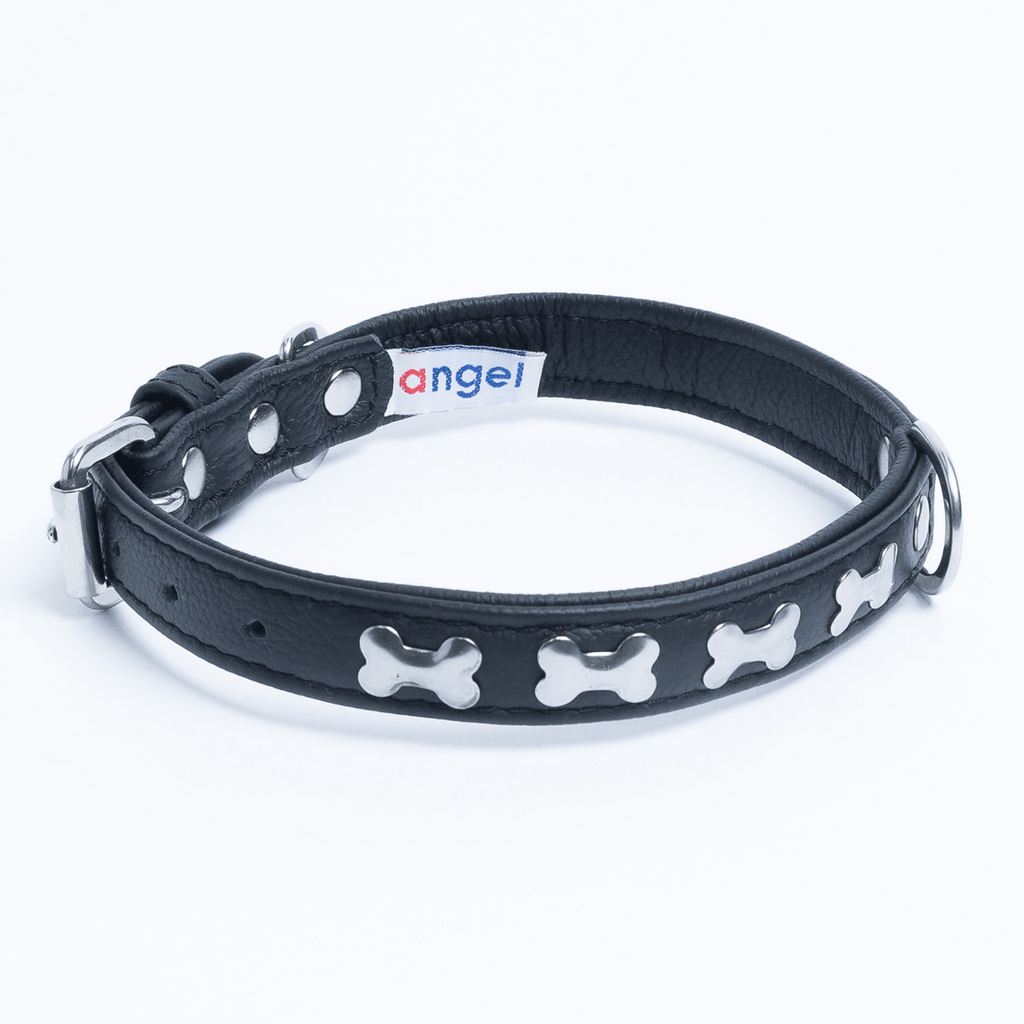 Glamorous Pups : Rotterdam Bones Leather Dog Collar – Classic Genuine Leather Collar with Metal Bone Accents & Center D-Ring for Style and Control