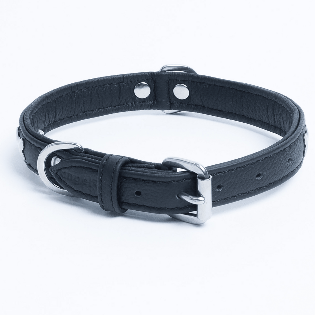 Glamorous Pups : Rotterdam Bones Leather Dog Collar – Classic Genuine Leather Collar with Metal Bone Accents & Center D-Ring for Style and Control