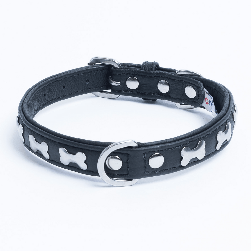 Glamorous Pups : Rotterdam Bones Leather Dog Collar – Classic Genuine Leather Collar with Metal Bone Accents & Center D-Ring for Style and Control