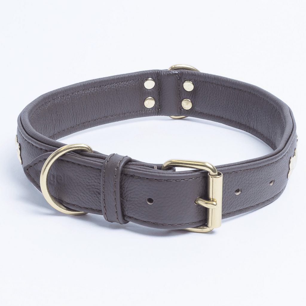 Glamorous Pups : Rotterdam Bones Leather Dog Collar – Classic Genuine Leather Collar with Metal Bone Accents & Center D-Ring for Style and Control