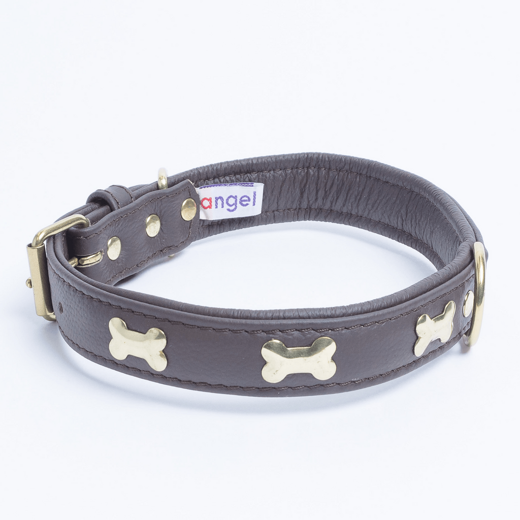 Glamorous Pups : Rotterdam Bones Leather Dog Collar – Classic Genuine Leather Collar with Metal Bone Accents & Center D-Ring for Style and Control