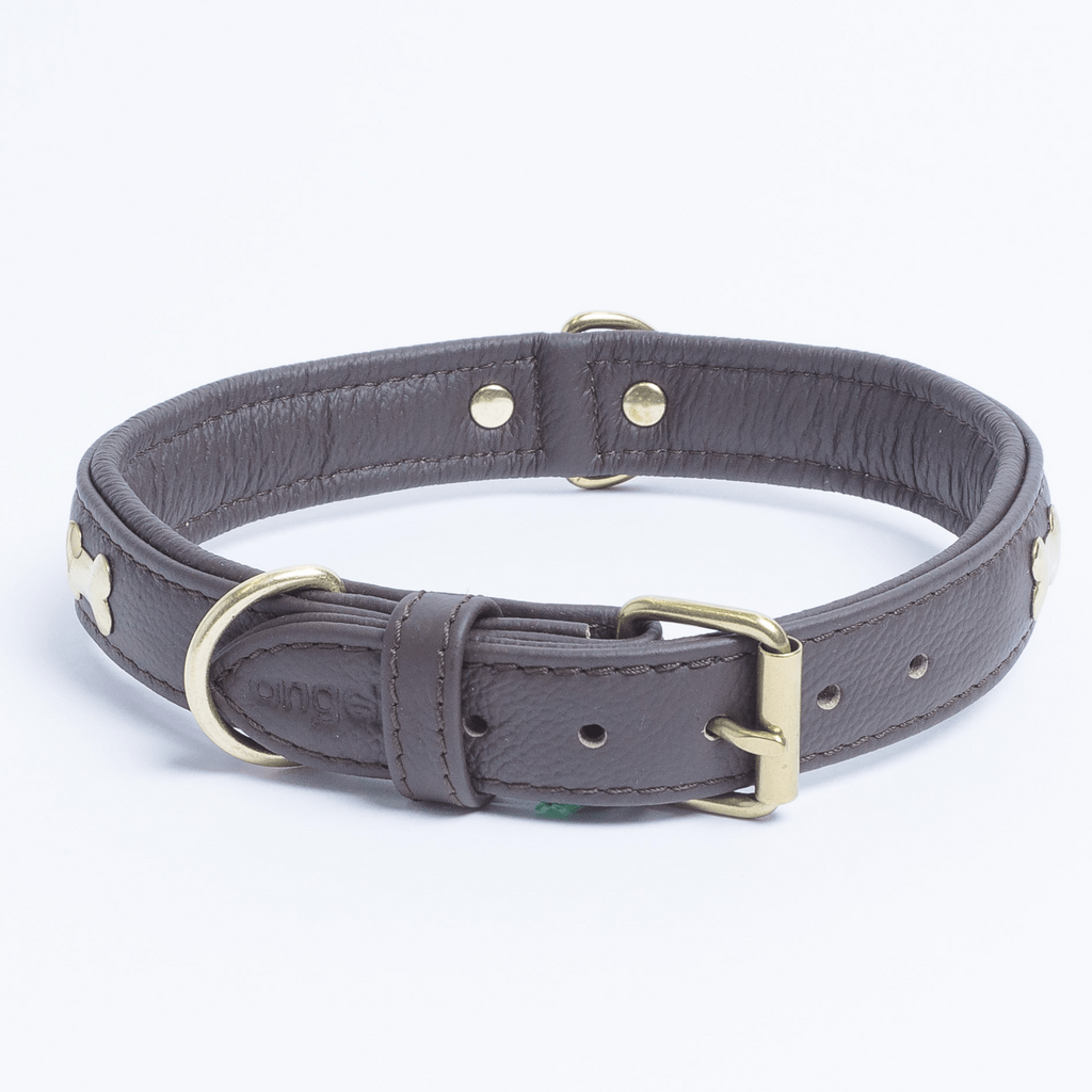 Glamorous Pups : Rotterdam Bones Leather Dog Collar – Classic Genuine Leather Collar with Metal Bone Accents & Center D-Ring for Style and Control