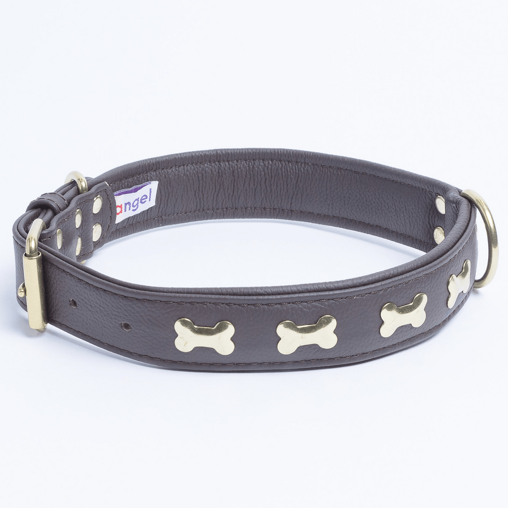 Glamorous Pups : Rotterdam Bones Leather Dog Collar – Classic Genuine Leather Collar with Metal Bone Accents & Center D-Ring for Style and Control