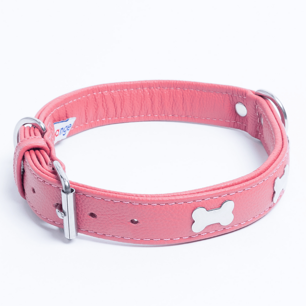 Glamorous Pups : Rotterdam Bones Leather Dog Collar – Classic Genuine Leather Collar with Metal Bone Accents & Center D-Ring for Style and Control