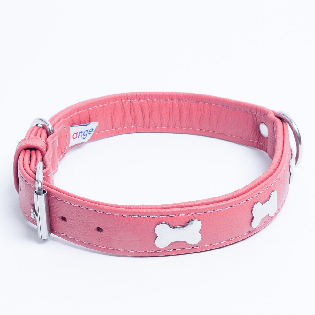 Glamorous Pups : Rotterdam Bones Leather Dog Collar – Classic Genuine Leather Collar with Metal Bone Accents & Center D-Ring for Style and Control