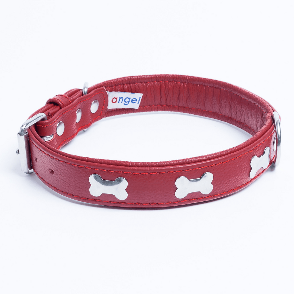 Glamorous Pups : Rotterdam Bones Leather Dog Collar – Classic Genuine Leather Collar with Metal Bone Accents & Center D-Ring for Style and Control