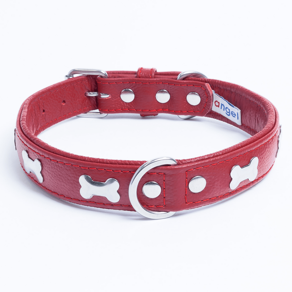 Glamorous Pups : Rotterdam Bones Leather Dog Collar – Classic Genuine Leather Collar with Metal Bone Accents & Center D-Ring for Style and Control