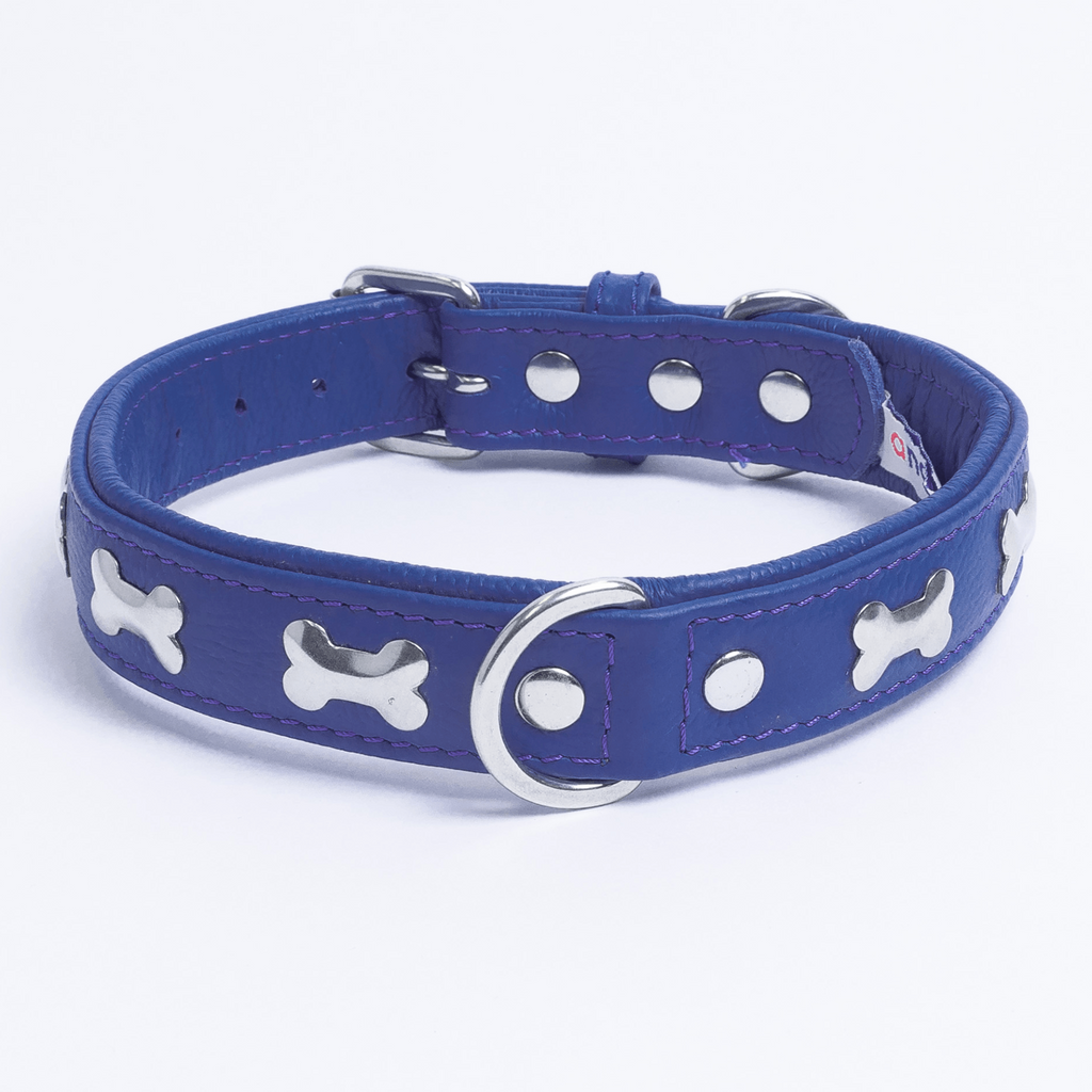 Glamorous Pups : Rotterdam Bones Leather Dog Collar – Classic Genuine Leather Collar with Metal Bone Accents & Center D-Ring for Style and Control