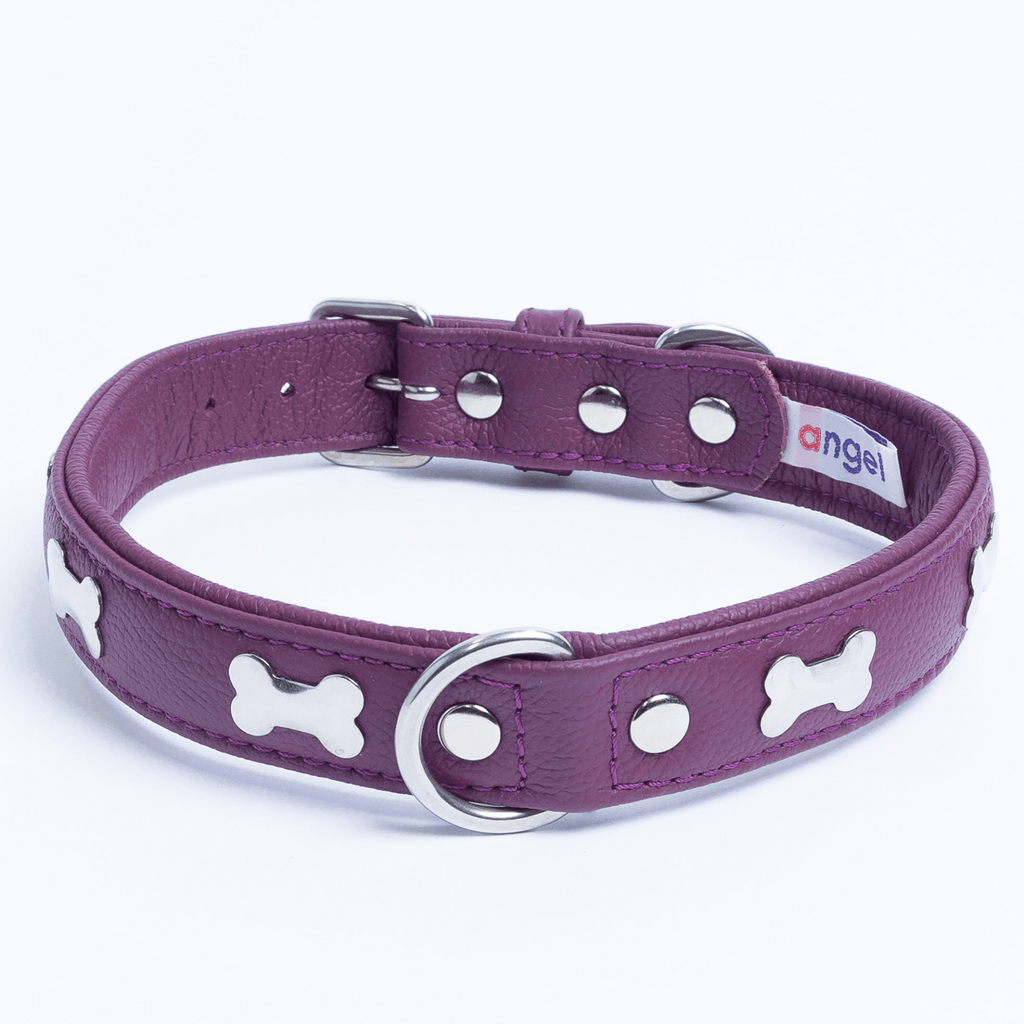 Glamorous Pups : Rotterdam Bones Leather Dog Collar – Classic Genuine Leather Collar with Metal Bone Accents & Center D-Ring for Style and Control
