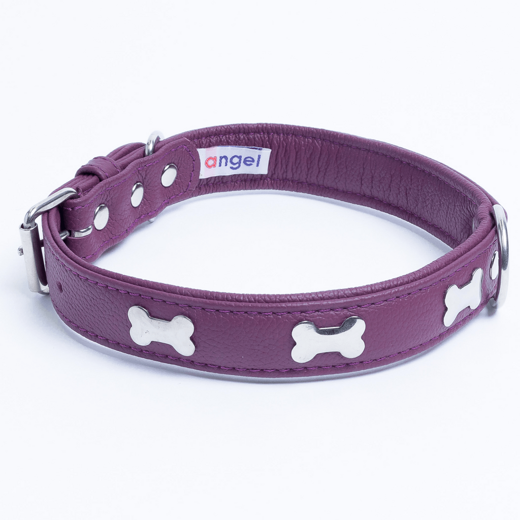 Glamorous Pups : Rotterdam Bones Leather Dog Collar – Classic Genuine Leather Collar with Metal Bone Accents & Center D-Ring for Style and Control