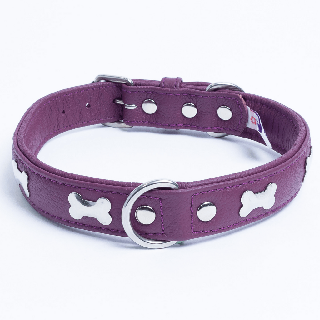 Glamorous Pups : Rotterdam Bones Leather Dog Collar – Classic Genuine Leather Collar with Metal Bone Accents & Center D-Ring for Style and Control