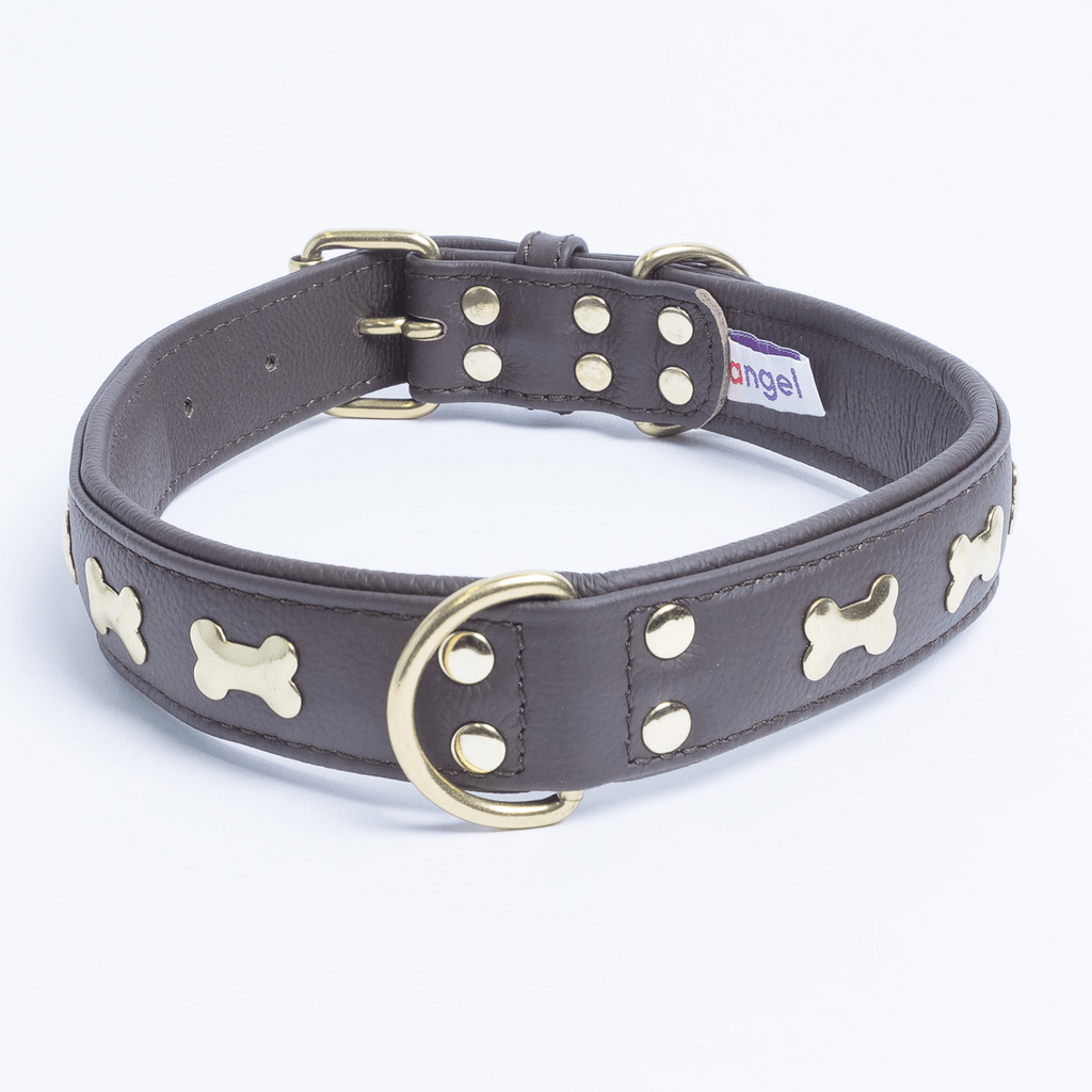 Glamorous Pups : Rotterdam Bones Leather Dog Collar – Classic Genuine Leather Collar with Metal Bone Accents & Center D-Ring for Style and Control