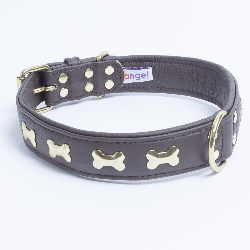 Glamorous Pups : Rotterdam Bones Leather Dog Collar – Classic Genuine Leather Collar with Metal Bone Accents & Center D-Ring for Style and Control