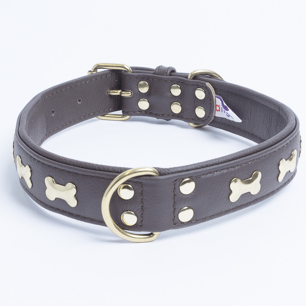 Glamorous Pups : Rotterdam Bones Leather Dog Collar – Classic Genuine Leather Collar with Metal Bone Accents & Center D-Ring for Style and Control