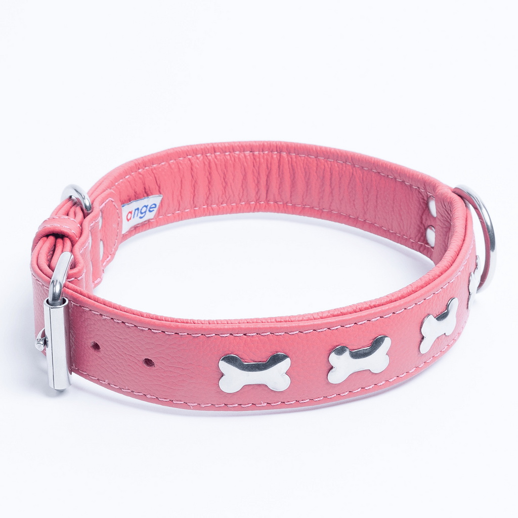 Glamorous Pups : Rotterdam Bones Leather Dog Collar – Classic Genuine Leather Collar with Metal Bone Accents & Center D-Ring for Style and Control