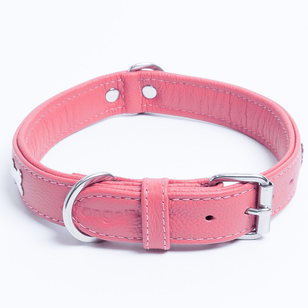 Glamorous Pups : Rotterdam Bones Leather Dog Collar – Classic Genuine Leather Collar with Metal Bone Accents & Center D-Ring for Style and Control