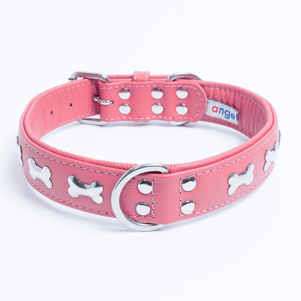Glamorous Pups : Rotterdam Bones Leather Dog Collar – Classic Genuine Leather Collar with Metal Bone Accents & Center D-Ring for Style and Control